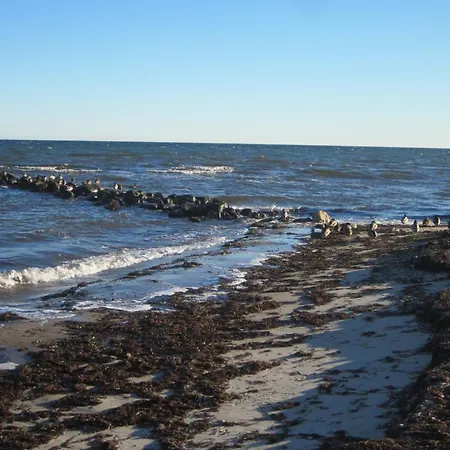 Strandlaeufer Im Lindenhof דאהמה